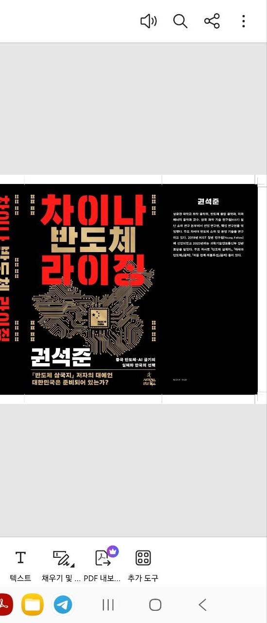 차이나 반도체 라이징 표지